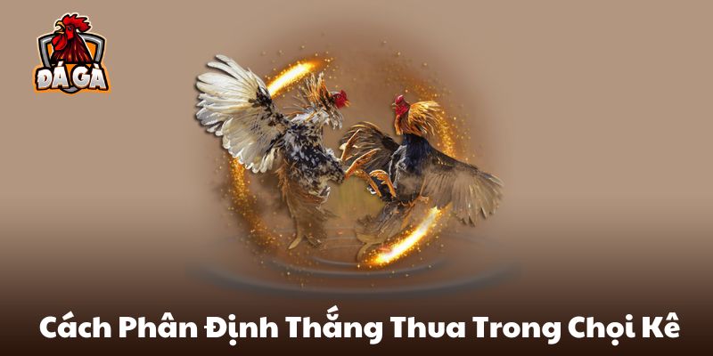 Cách phân định thắng- thua trong chọi gà