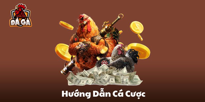 Hướng dẫn cá cược đá gà