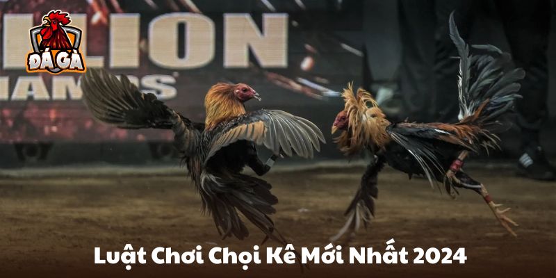 Luật Chơi Chọi Kê Mới Nhất 2024